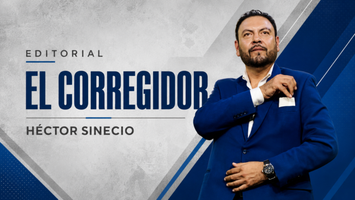 Sinecio